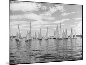 Boats Lined up for a Race on Lake Washington-Ray Krantz-Mounted Photographic Print
