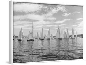 Boats Lined up for a Race on Lake Washington-Ray Krantz-Framed Photographic Print