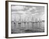 Boats Lined up for a Race on Lake Washington-Ray Krantz-Framed Photographic Print