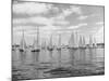 Boats Lined up for a Race on Lake Washington-Ray Krantz-Mounted Photographic Print