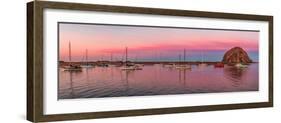 Boats moored at a harbor, Morro Bay Harbour, Morro Bay, California, USA-null-Framed Photographic Print