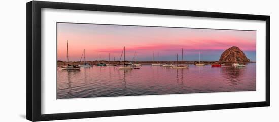 Boats moored at a harbor, Morro Bay Harbour, Morro Bay, California, USA-null-Framed Photographic Print