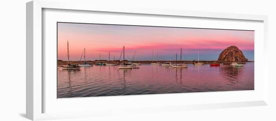 Boats moored at a harbor, Morro Bay Harbour, Morro Bay, California, USA-null-Framed Photographic Print