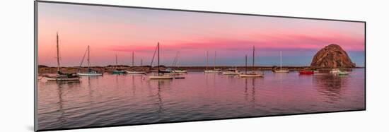 Boats moored at a harbor, Morro Bay Harbour, Morro Bay, California, USA-null-Mounted Photographic Print