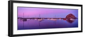 Boats moored at a harbor, Morro Bay Harbour, Morro Bay, California, USA-null-Framed Photographic Print