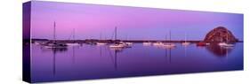 Boats moored at a harbor, Morro Bay Harbour, Morro Bay, California, USA-null-Stretched Canvas