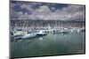 Boats moored at a harbor, Santa Barbara Harbor, California, USA-Panoramic Images-Mounted Photographic Print