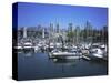 Boats Moored in False Creek by Granville Island with Downtown Vancouver Beyond, Canada-Pearl Bucknell-Stretched Canvas