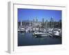 Boats Moored in False Creek by Granville Island with Downtown Vancouver Beyond, Canada-Pearl Bucknell-Framed Photographic Print