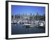 Boats Moored in False Creek by Granville Island with Downtown Vancouver Beyond, Canada-Pearl Bucknell-Framed Photographic Print