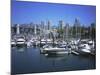 Boats Moored in False Creek by Granville Island with Downtown Vancouver Beyond, Canada-Pearl Bucknell-Mounted Photographic Print