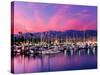 Boats Moored in Harbor at Sunset, Santa Barbara Harbor, Santa Barbara County, California, USA-null-Stretched Canvas