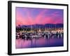 Boats Moored in Harbor at Sunset, Santa Barbara Harbor, Santa Barbara County, California, USA-null-Framed Photographic Print