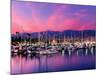 Boats Moored in Harbor at Sunset, Santa Barbara Harbor, Santa Barbara County, California, USA-null-Mounted Photographic Print