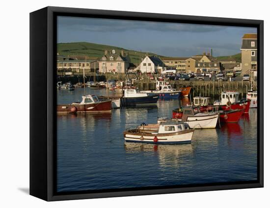 Boats Moored in West Bay Harbour, Dorset, England, United Kingdom, Europe-Lightfoot Jeremy-Framed Stretched Canvas