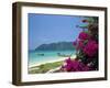 Boats Moored off Beach of Phi Phi Don Island, off Phuket, Thailand-Ruth Tomlinson-Framed Premium Photographic Print