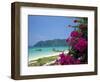 Boats Moored off Beach of Phi Phi Don Island, off Phuket, Thailand-Ruth Tomlinson-Framed Photographic Print