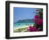 Boats Moored off Beach of Phi Phi Don Island, off Phuket, Thailand-Ruth Tomlinson-Framed Photographic Print