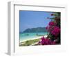 Boats Moored off Beach of Phi Phi Don Island, off Phuket, Thailand-Ruth Tomlinson-Framed Photographic Print