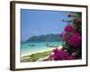 Boats Moored off Beach of Phi Phi Don Island, off Phuket, Thailand-Ruth Tomlinson-Framed Photographic Print