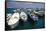 Boats of Capri, Italy-George Oze-Framed Stretched Canvas