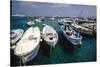 Boats of Capri, Italy-George Oze-Stretched Canvas