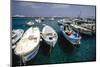 Boats of Capri, Italy-George Oze-Mounted Premium Photographic Print