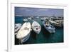 Boats of Capri, Italy-George Oze-Framed Photographic Print