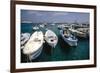 Boats of Capri, Italy-George Oze-Framed Photographic Print