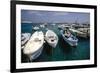 Boats of Capri, Italy-George Oze-Framed Photographic Print