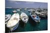 Boats of Capri, Italy-George Oze-Mounted Photographic Print