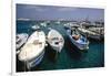 Boats of Capri, Italy-George Oze-Framed Photographic Print