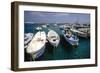 Boats of Capri, Italy-George Oze-Framed Photographic Print