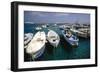 Boats of Capri, Italy-George Oze-Framed Photographic Print