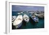 Boats of Capri, Italy-George Oze-Framed Photographic Print