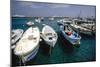 Boats of Capri, Italy-George Oze-Mounted Photographic Print