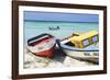 Boats on Eagle Beach, Aruba-George Oze-Framed Photographic Print