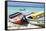 Boats on Eagle Beach, Aruba-George Oze-Framed Stretched Canvas