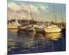 Boats On Glassy Harbor-Furtesen-Mounted Art Print