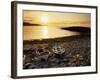 Boats on Norwick Beach at Sunrise, Unst, Shetland Islands, Scotland, United Kingdom, Europe-Patrick Dieudonne-Framed Photographic Print