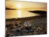 Boats on Norwick Beach at Sunrise, Unst, Shetland Islands, Scotland, United Kingdom, Europe-Patrick Dieudonne-Mounted Photographic Print