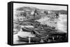 Boats on Shore Along Gold Coast-null-Framed Stretched Canvas