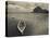 Boats on the Beach, Le Morne Brabant, Mauritius-null-Stretched Canvas