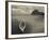 Boats on the Beach, Le Morne Brabant, Mauritius-null-Framed Photographic Print