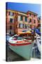 Boats on the Dock, Vernazza, Cinque Terre, Italy-George Oze-Stretched Canvas
