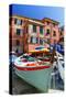 Boats on the Dock, Vernazza, Cinque Terre, Italy-George Oze-Stretched Canvas