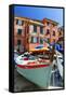 Boats on the Dock, Vernazza, Cinque Terre, Italy-George Oze-Framed Stretched Canvas