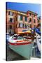 Boats on the Dock, Vernazza, Cinque Terre, Italy-George Oze-Stretched Canvas