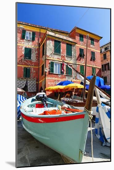 Boats on the Dock, Vernazza, Cinque Terre, Italy-George Oze-Mounted Photographic Print