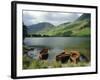 Boats on the Lake, Buttermere, Lake District National Park, Cumbria, England, UK-Roy Rainford-Framed Photographic Print